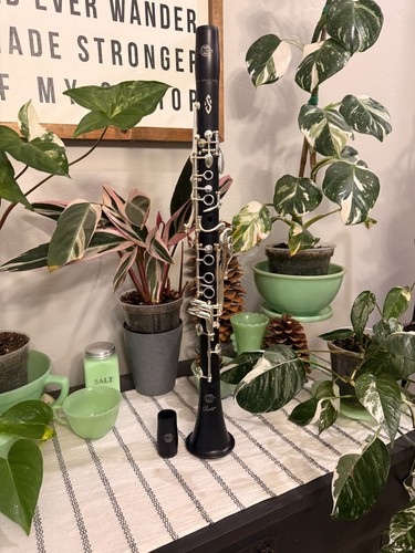 Selmer privilege evolution - selmer,