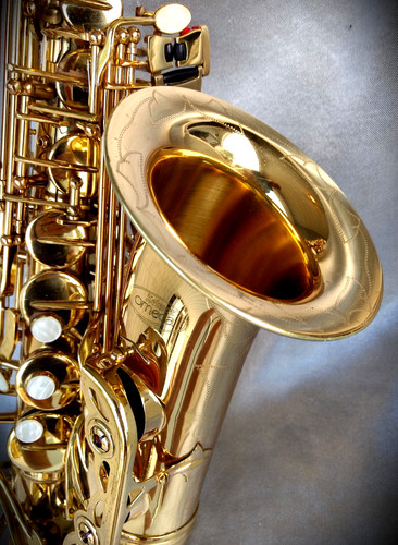 Unique selmer omega - selmer, "omega"
