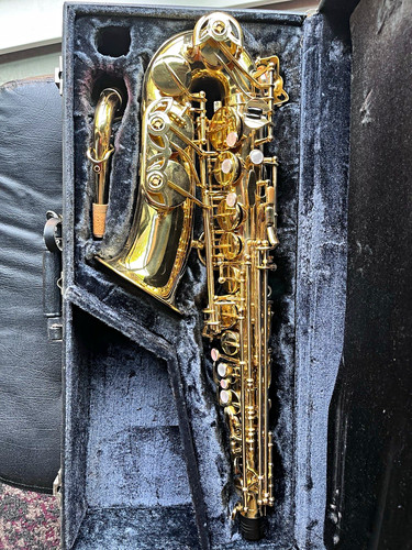 Yanagisawa 880 alto - yanagisawa,